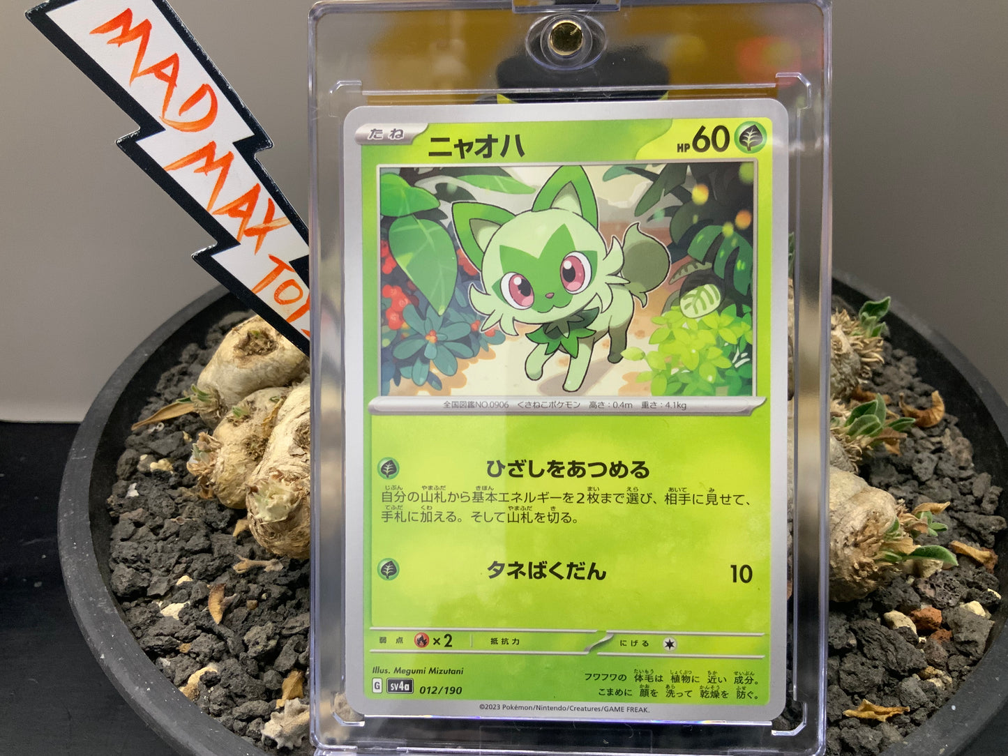 Pokemon Card sv4a 012/190