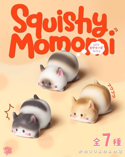 Squishy Momomi Blind Box