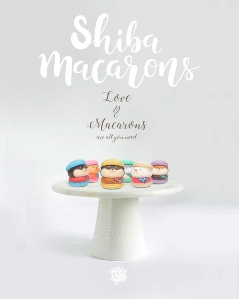 Shiba Macarons Blind Box 法式甜點小柴犬 [盲盒]