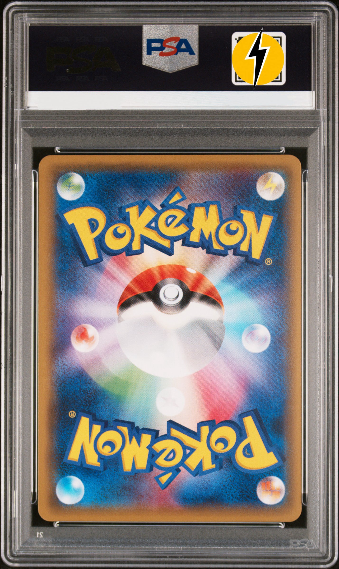 PSA 10  2016 POKEMON JAPANESE XY PROMO #206 PIKACHU M.CHARIZARD X/Y-P.M.CNTR. 206/XY-P