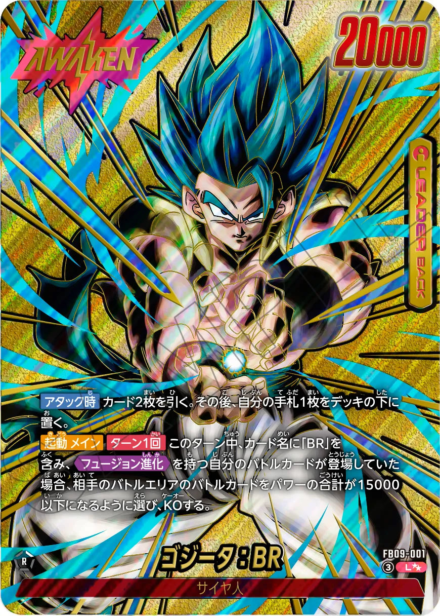 [FB09] DRAGONBALL DUAL EVOLUTION 日版 BOX
