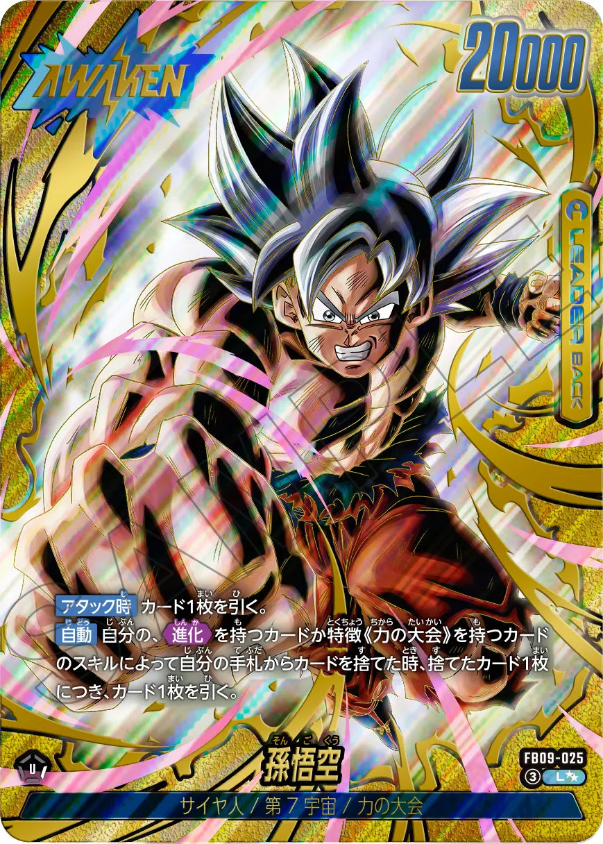 [FB09] DRAGONBALL DUAL EVOLUTION 日版 BOX