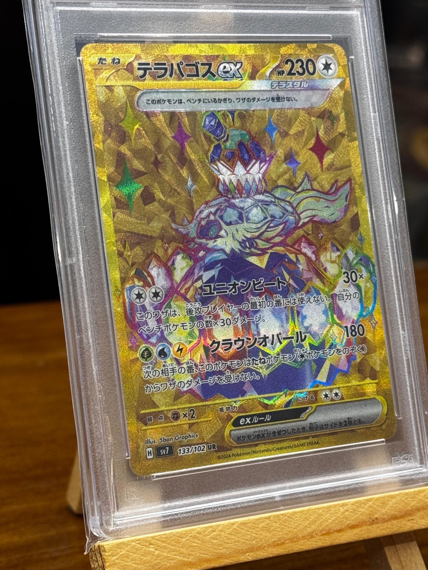 PSA10 Pokemon Card 日版 UR テラパゴスex(133/102)