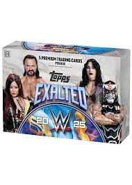 2025 Topps Exalted WWE - Hobby Box